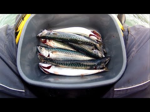 Видео: Рыбалка с каяка – Зимняя макрель – Настоящее удовольствие – Поймай и приготовь