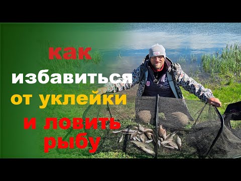Видео: как избавиться от уклейки и ловить нормальную рыбу