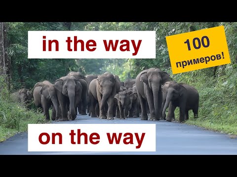 Видео: IN THE vs ON THE | 100 примеров