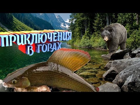 Видео: Необыкновенное Путешествие в горную Шорию или в поисках хариуса