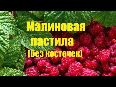 Видео: Пастила из малины (без косточек)