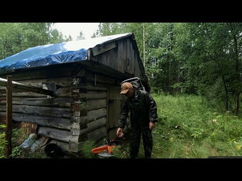 Видео: Добраться до избы, куда Макар телят не гонял... Ставка на "Скаут". Вывезет?