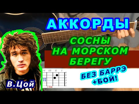 Видео: СОСНЫ НА МОРСКОМ БЕРЕГУ Аккорды 🎸 ЦОЙ группа КИНО ♪ Разбор песни на гитаре БЕЗ БАРРЭ ♫Для начинающих