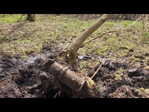 Видео: Здесь НИКТО не копал!!!