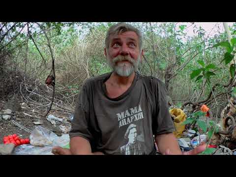 Видео: #Путешествие по Индии. Живу на природе с Садху в одном Парке. Сегодня. КОРОНА ВИРУС МАЙ 2021 ГОДА