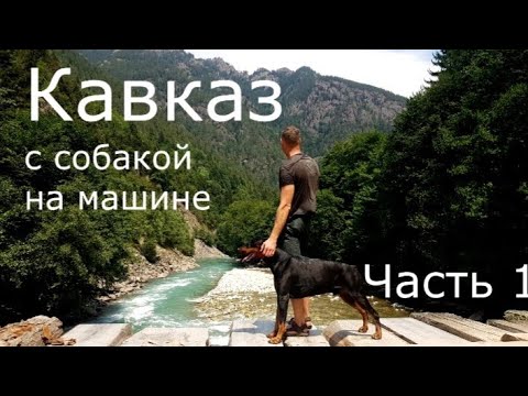 Видео: Красивая природа кавказа на Nissan Terrano 2 с доберманом. Путешествия с собакой. Малая Лаба,Загедан