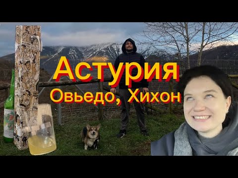 Видео: Зимний ВЛОГ из Астурии / Овьедо и Хихон/ Выбираем где жить