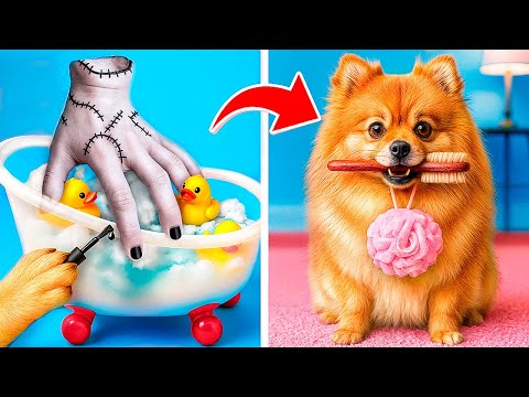 Видео: Мы приютили бездомную собаку! Смешные ситуации с животными