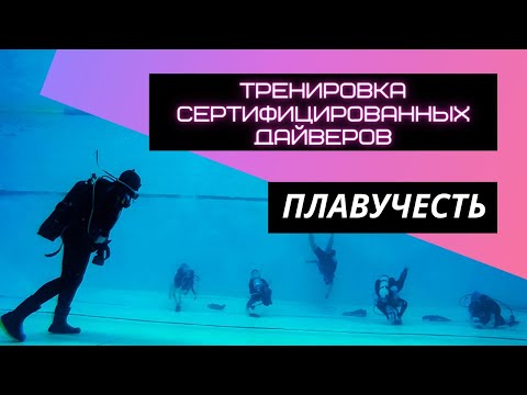 Видео: Тренировка сертифицированных дайверов "Идеальная плавучесть"
