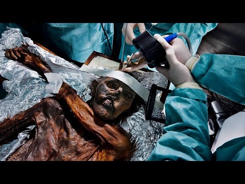 Видео: Обнаружив останки 3 человек, ученые сделали ДНК тест и оказалось, что они принадлежат живым людям
