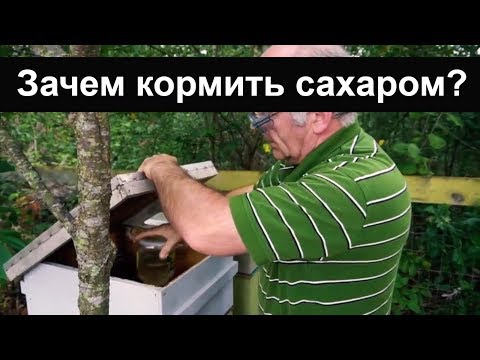 Видео: Пасека #50 Зачем кормить сахаром ? Добавка кормов к зиме. Пчеловодство. Пасека.
