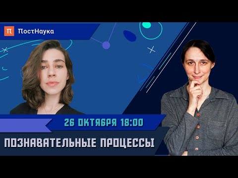 Видео: Познавательные процессы / Мария Фаликман в Рубке ПостНауки