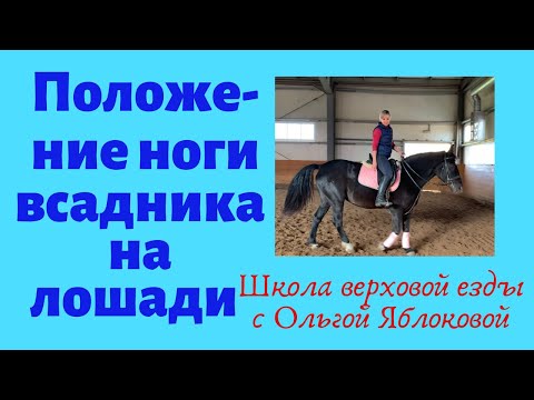 Видео: ПОЛОЖЕНИЕ НОГИ ВСАДНИКА НА ЛОШАДИ