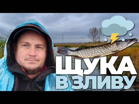 Видео: ЧИ КЛЮЄ ЩУКА В ЗЛИВУ? РИБАЛКА на ЩУКУ по ДОЩУ