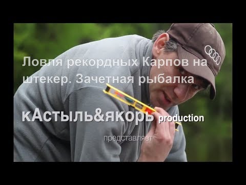 Видео: Ловля рекордных Карпов на штекер (Big carp float fishing) зачетная рыбалка