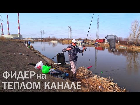 Видео: Рыбалка на фидер на теплом канале