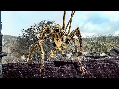 Видео: Атака паукообразных 🔥 смотреть фильм полный  | русские субтитры