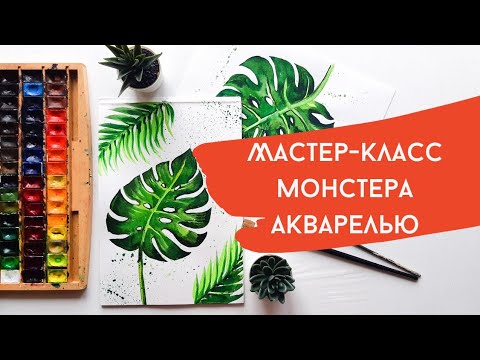 Видео: Мастер-класс Монстера акварелью для начинающих