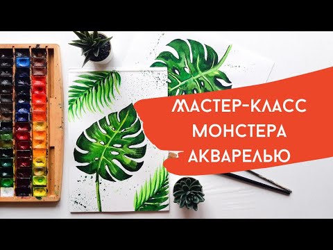 Видео: Мастер-класс Монстера акварелью для начинающих