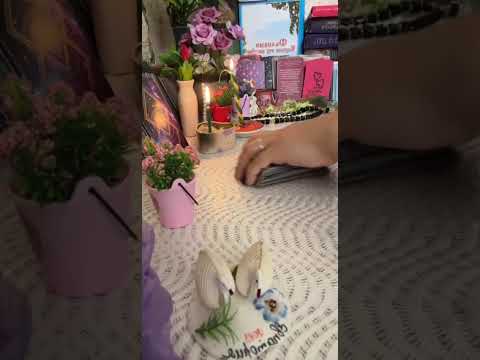 Видео: Карта танлов! У кайтадими ярашадими? +7929-103-77-90 телеграм ватсаб