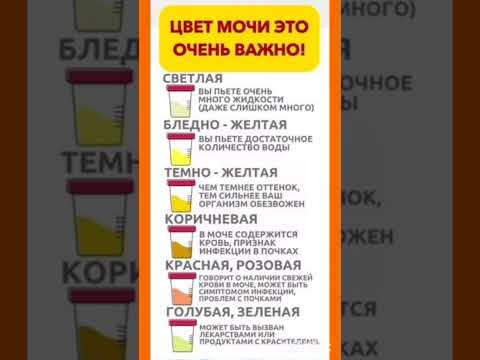 Видео: #здороветіло #рецепты #здоровыйдух