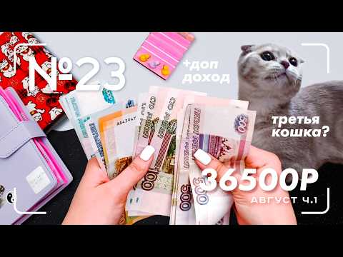 Видео: #23 распределение денег | август 1