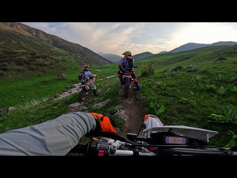 Видео: Каргалы (Фабричный). Вверх по речке