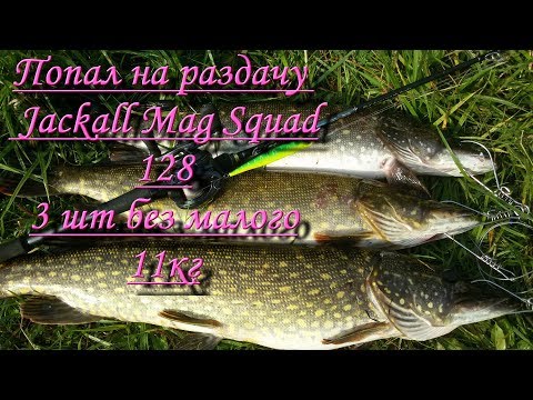 Видео: Отличные щуки  Попал на раздачу 3 штуки 11 кг Jackall MAG SQUAD 128 рулит