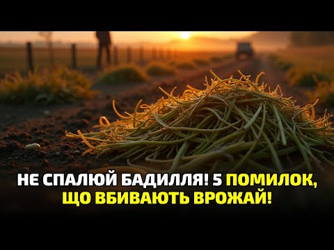 Видео: Не спалюй бадилля картоплі! Фатальна помилка, через яку земля стає мертвою!