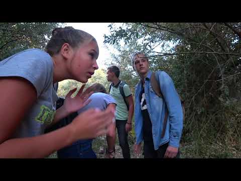 Видео: АНЯ ВЕРНУЛАСЬ!!! ОЛЯ ПОКИНУЛА НАС!!!