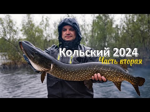 Видео: Рыбалка на Кольском полуострове в июне. Часть вторая.