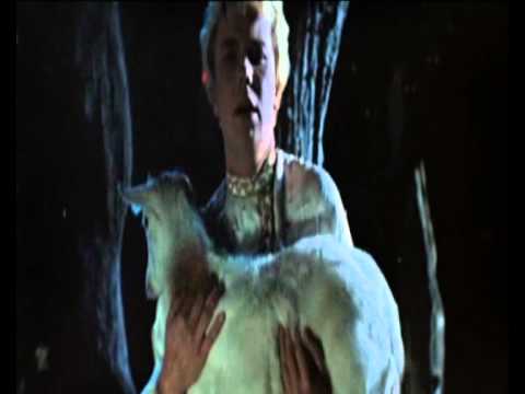 Видео: Бони Нем только этого мало