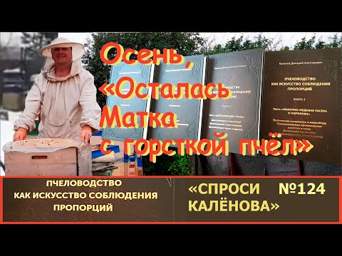 Видео: "Матка с горсткой пчёл!" - Что делать? От чего это бывает. Пчелы и Пчеловодство Спроси Калёнова №124