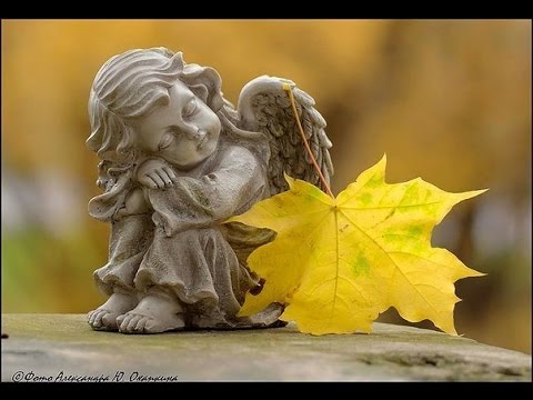 Видео: СЧАСТЬЕ МОЕ - Карина Габриэлян