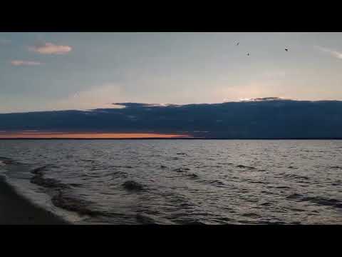 Видео: Волга-влог 🫧💧🌊 