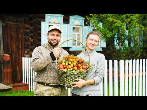 Видео: ЖИЗНЬ НА ЗАИМКЕ | ПРИБИРАЕМ ПОМИДОРЫ И КОПАЕМ КАРТОФЕЛЬ | СОЛЕНАЯ ПАСТИЛА | СЕВЕРНОЕ СИЯНИЕ