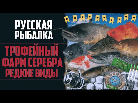 Видео: Новый Путь в РР4 #15 🔴 Трофейный Клёв | Закрыл Старый Острог | Редкие Виды и Новые Снасти на Медное