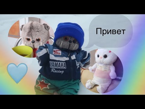 Видео: Влог с БАСИКАМИ / прогулка