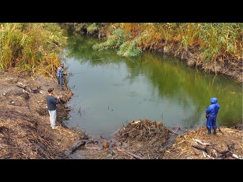 Видео: НАШЛИ ЯМУ В РУЧЬЕ ГДЕ СТОИТ ВСЯ РЫБА И ПОНЕСЛОСЬ ОДИН ЗА ДРУГИМ! ЭТОТ РУЧЕЙ КИШИТ РЫБОЙ!!!!