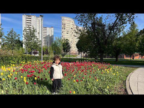 Видео: Мы снова вместе ! Монте и Моника ❤️