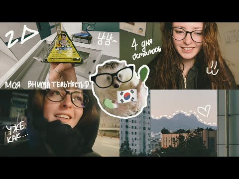 Видео: KOREA VLOG DIARY|название должно было быть другое хаха / моя жизнь в Корее как она есть |4-6-2.2025