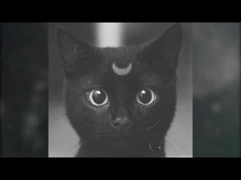 Видео: Святослав Свидригайлов - закрой мои глаза