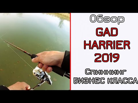 Видео: Обзор спиннинга GAD HARRIER 2019. Твичинг и джиг.