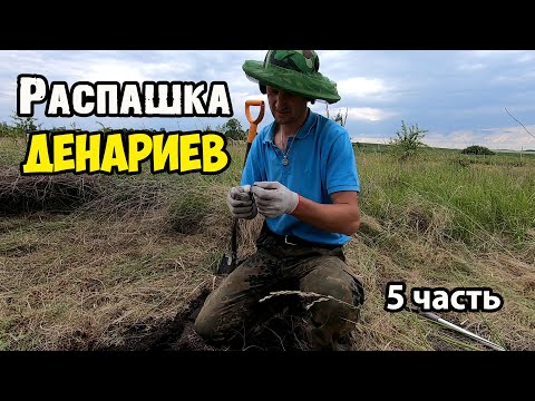 Видео: Нашел не битое место. Распашка денариев древнего Рима. Коп с эквинокс 800.