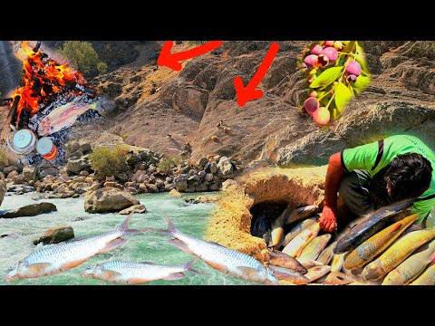 Видео: 🐟 Насыщенная жизнь кочевников на лоне природы. Необычная рыбалка в стиле Да!