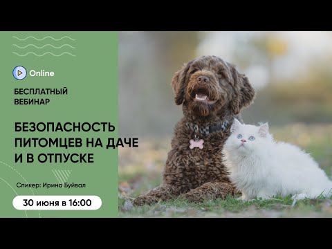 Видео: Вебинар «Безопасность питомцев на даче и в отпуске»