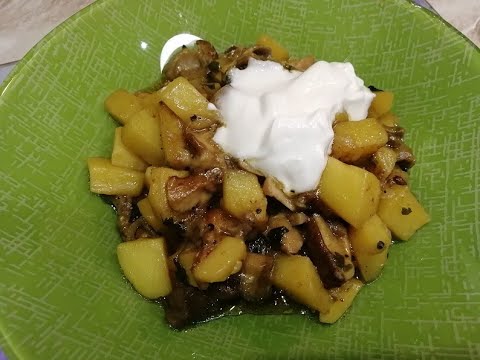 Видео: Жаркое из лесных грибов