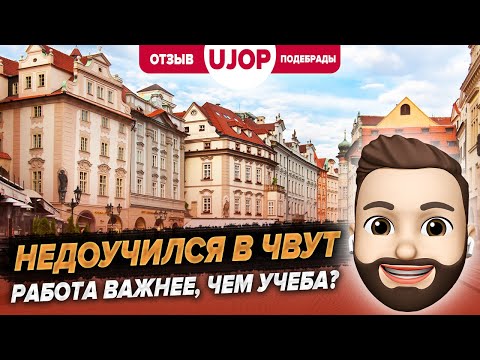 Видео: Отзыв о курсах UJOP в Подебрадах. Работа программистом в Праге