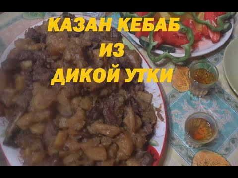 Видео: Готовим дикую утку. КАЗАН КЕБАБ ИЗ ДИКОЙ УТКИ