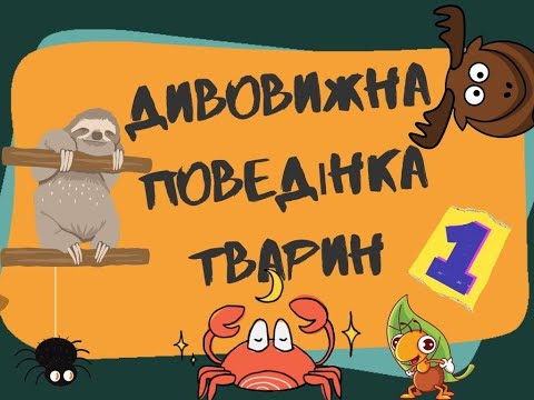 Видео: Дивовижна поведінка тварин (Інфасотка)